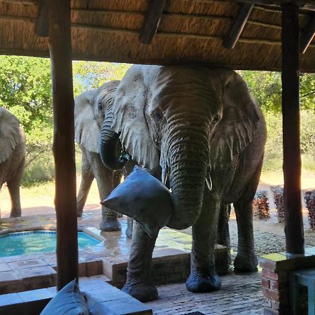 Twiga Lodge Mabalingwe Bela-Bela Εξωτερικό φωτογραφία