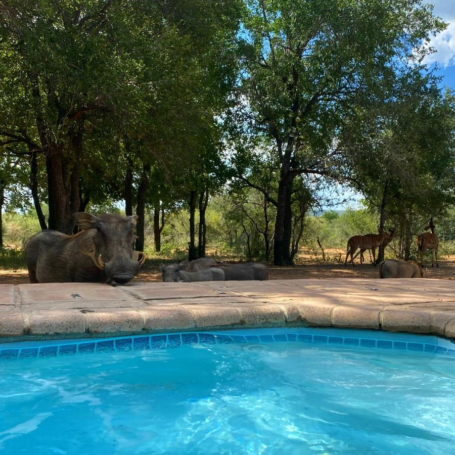 Twiga Lodge Mabalingwe Bela-Bela Εξωτερικό φωτογραφία