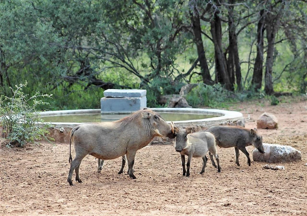 Twiga Lodge Mabalingwe Bela-Bela Εξωτερικό φωτογραφία
