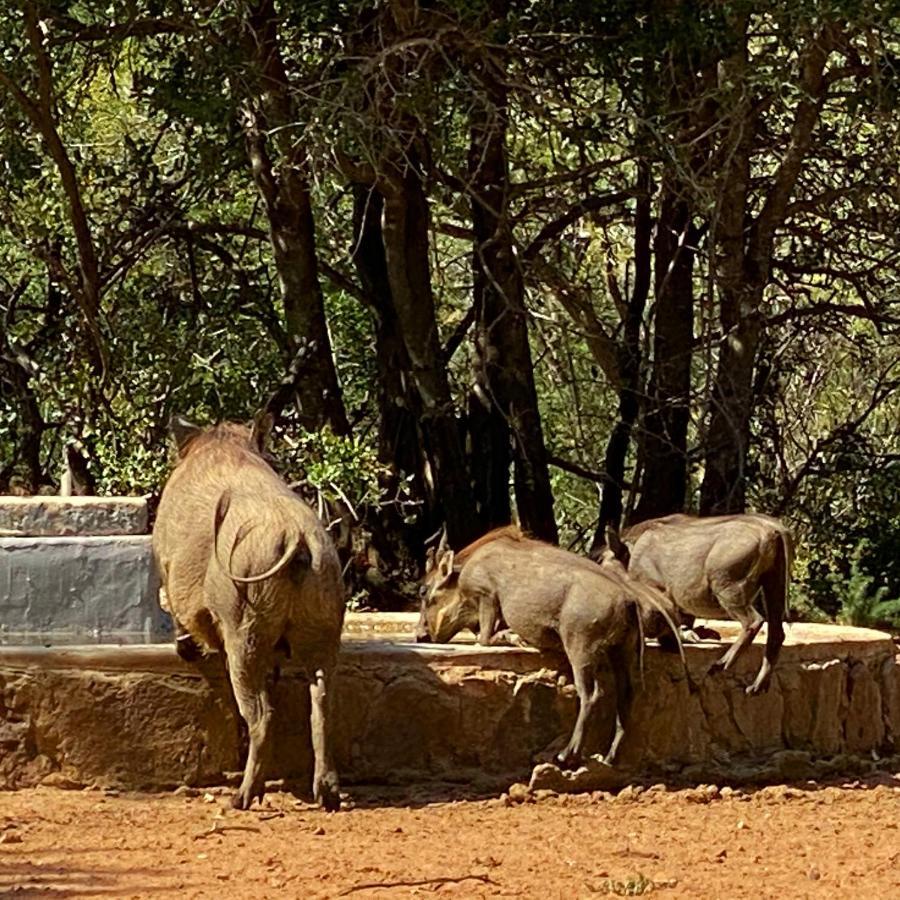 Twiga Lodge Mabalingwe Bela-Bela Εξωτερικό φωτογραφία