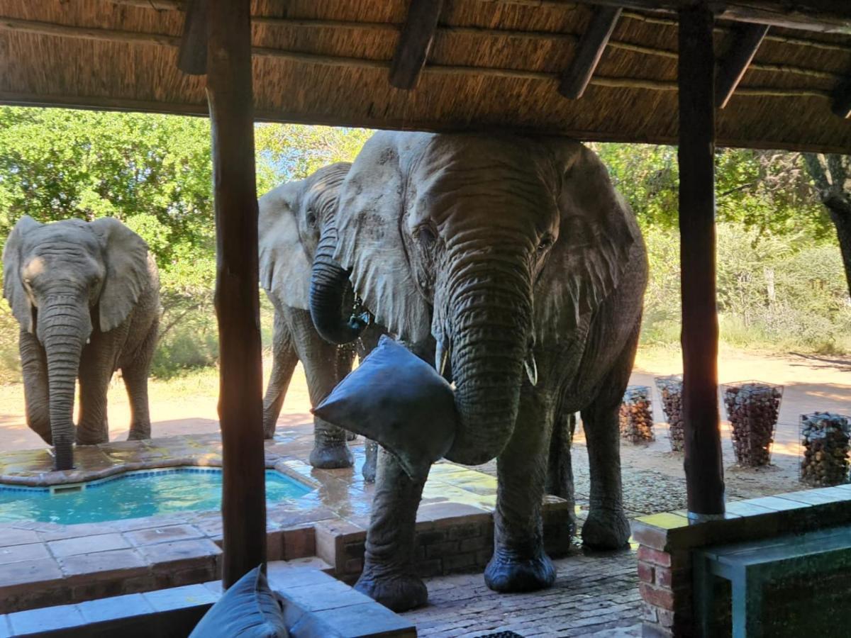 Twiga Lodge Mabalingwe Bela-Bela Εξωτερικό φωτογραφία