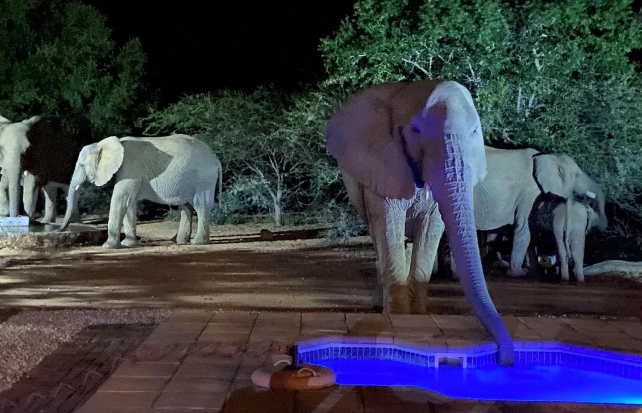 Twiga Lodge Mabalingwe Bela-Bela Εξωτερικό φωτογραφία